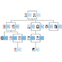 Family Tree Template