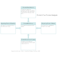 Five Forces Analysis