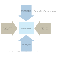 Five Forces Analysis Example - 2