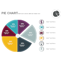 Pie Chart 07