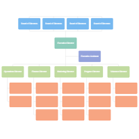 Non-Profit Organizational Chart