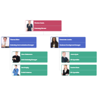 Organizational Chart Example