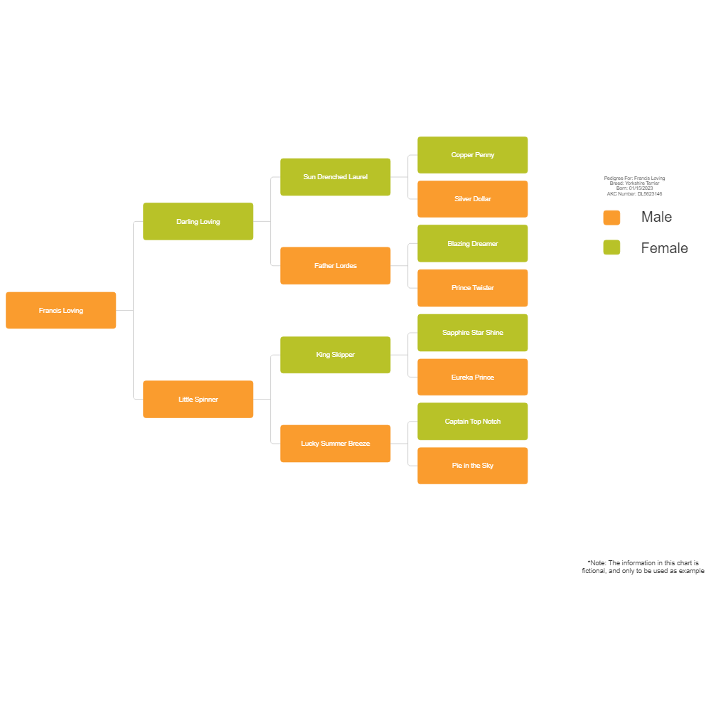 Example Image: Dog Pedigree Chart