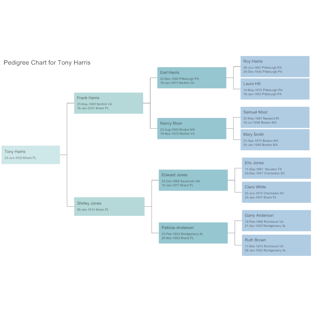 Example Image: Pedigree Chart Example